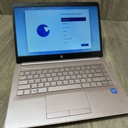 Pink HP 14 Inch Laptop Intel Quad Core 8 GB RAM 8 Hour Battery Windows 11