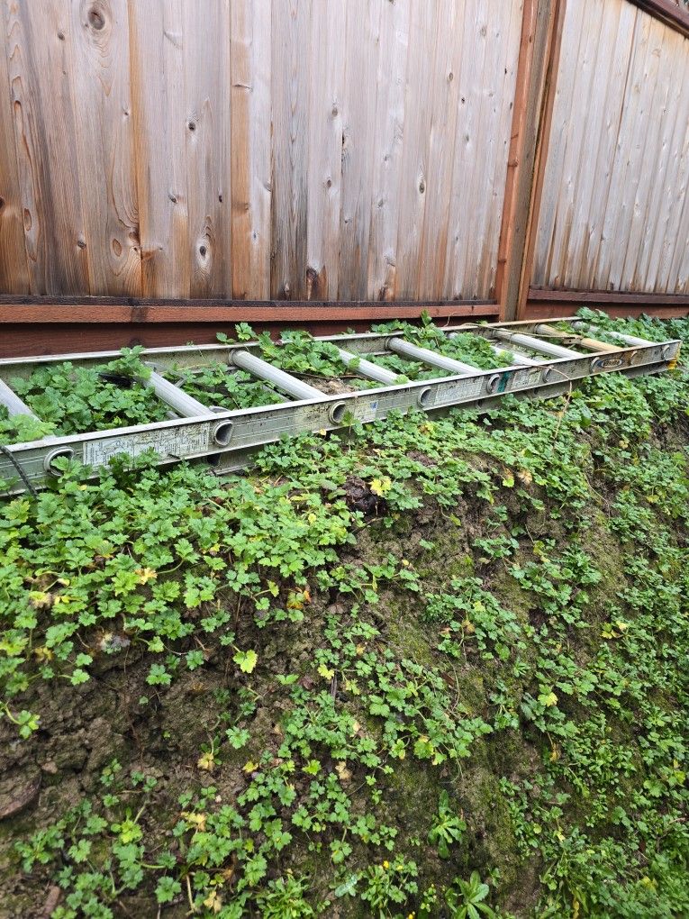 Werner Aluminum Ladder