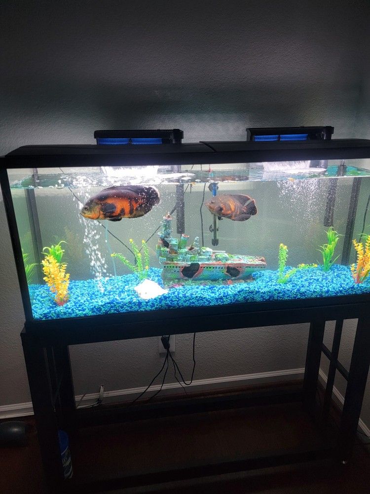 ebay 55 gallons fish tank with all accessories 55g and stand combo Nature Aquariums USA Aquatic Fundamentals 55 Gallon Metal