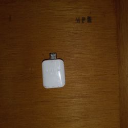 Samsung OTG Adapter 