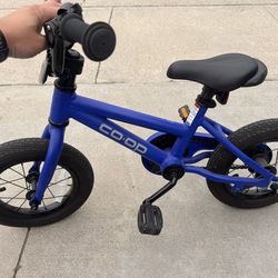 REI Co-Op Co Op Rev 12