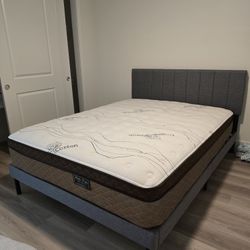 Queen Mattress And Bed Frame. Ortho pedic. Never Used 