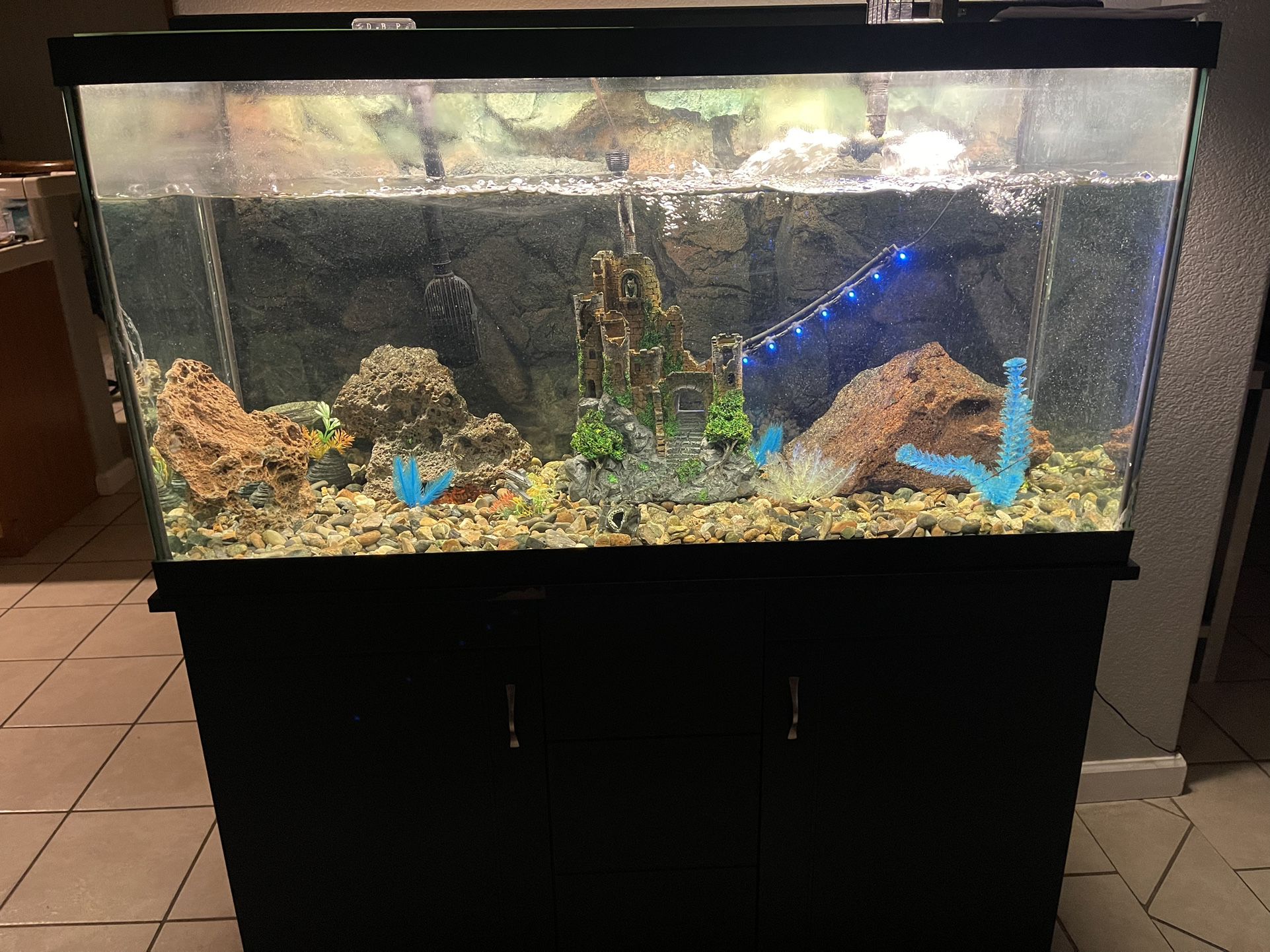 90 Gallon Fish Tank Everything Included 