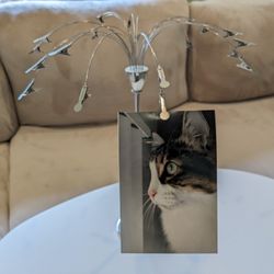 UMBRA Fotofalls  Desktop Photo Holder