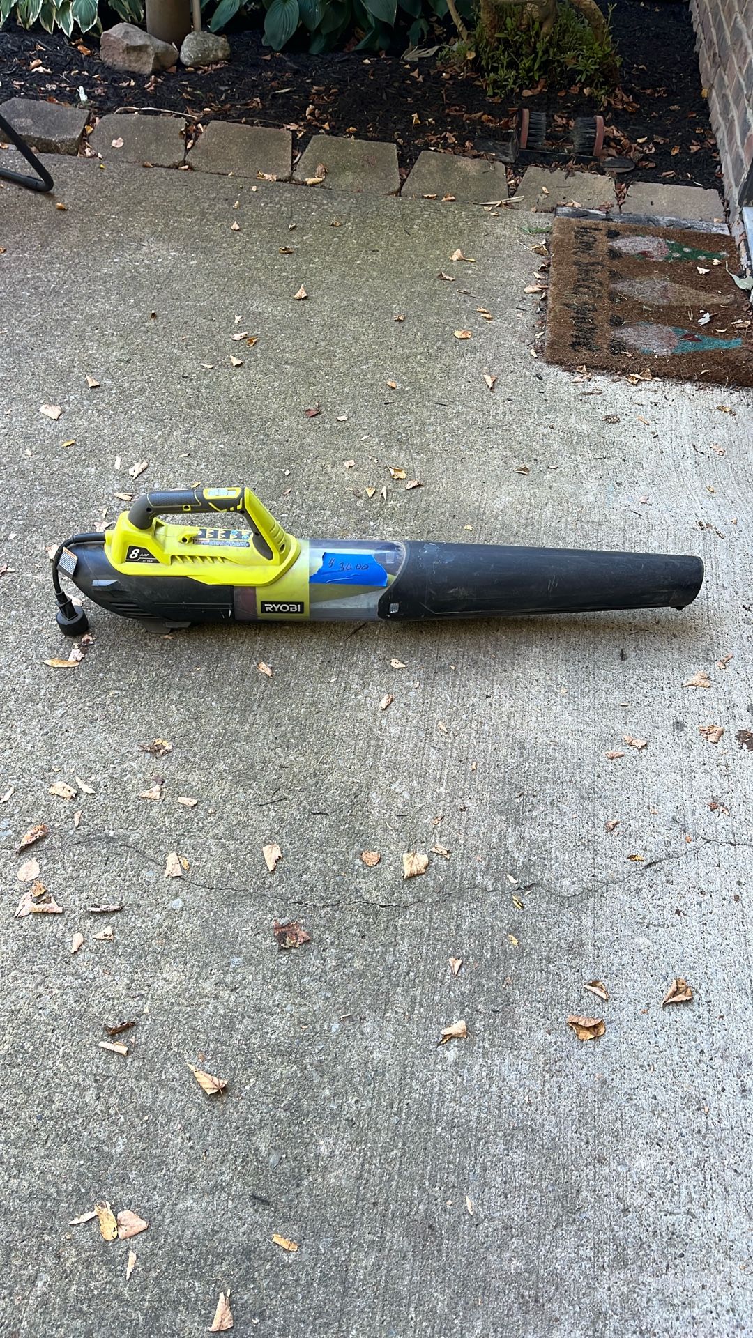 Blower