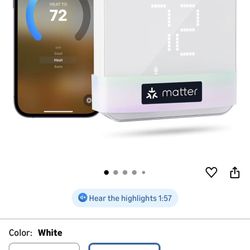 Thermostat - Brand New
