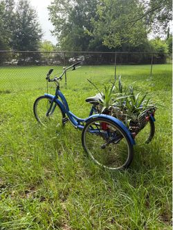 Schwinn Meridian Adult Blue tricycle