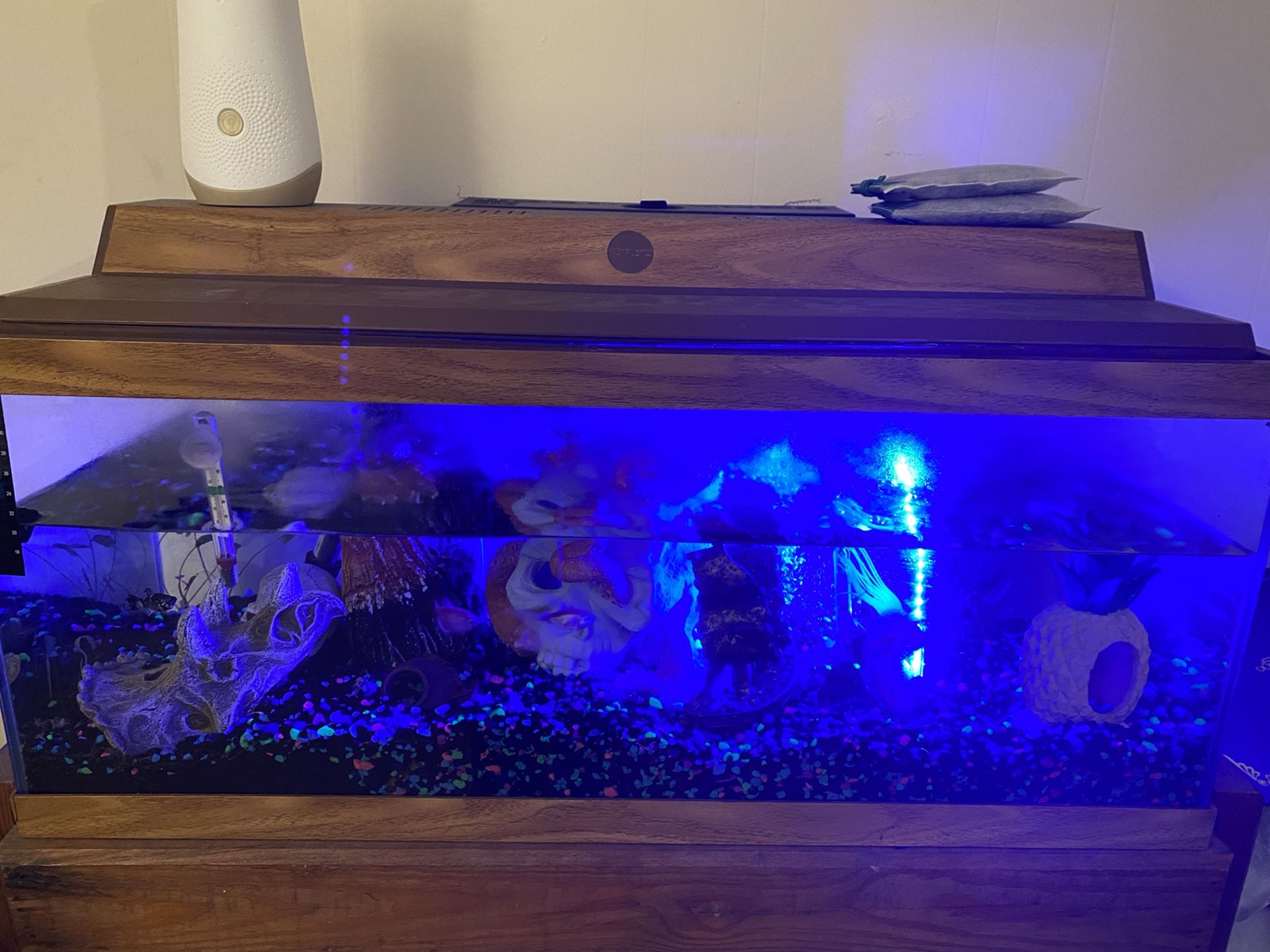 Fish tank w/ stand