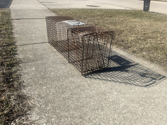 Animal Trap Cage