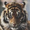 Richard Parker