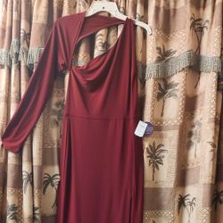 Women's Size Large Burgundy Dress New with Tags