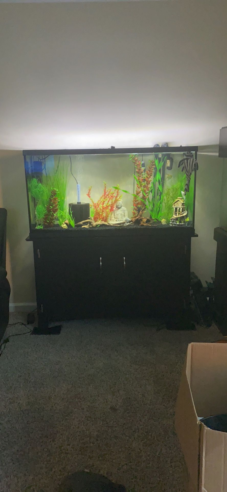 55 gallon fish tank with very nice filter & stand