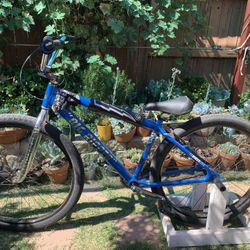 SE Bike-2021 City Grounds Big Ripper 29