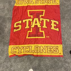 Iowa State Flag 