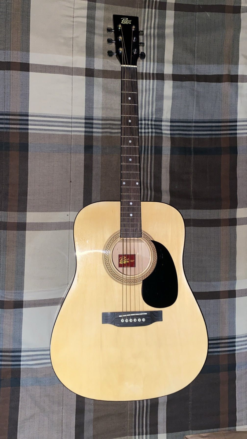 Acoustic Guitar (Case and Picks Included)