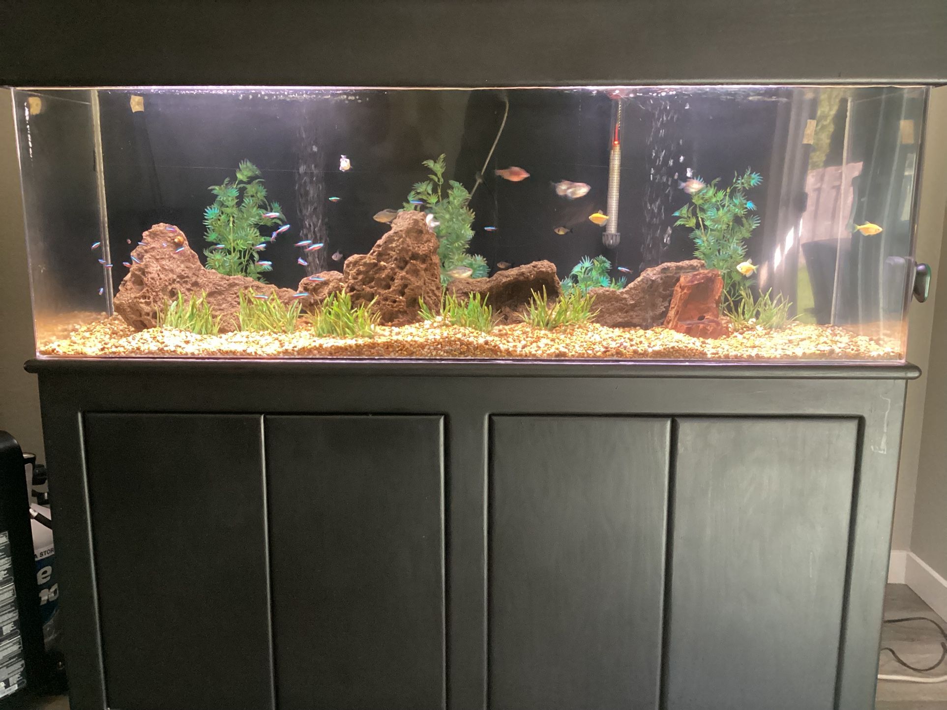 (like new!) 100 Gallon Acrylic Fish Tank