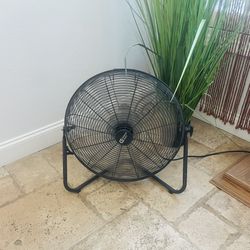 Fan
