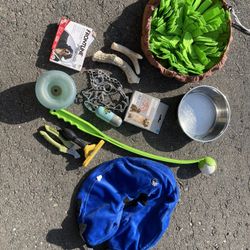 Dog Supplies