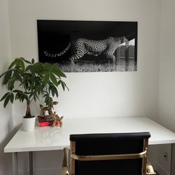 Leopard - Tempered Art Glass Wall Art