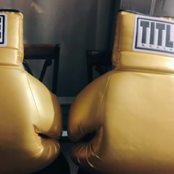 Jumbo Title Boxing Gloves 