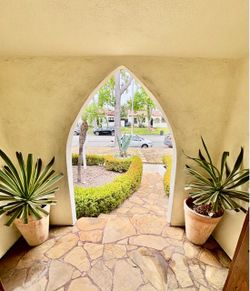 Large pair of Agave potted plants