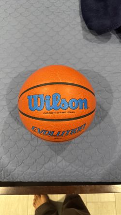 Wilson Evolution Indoor Game Ball
