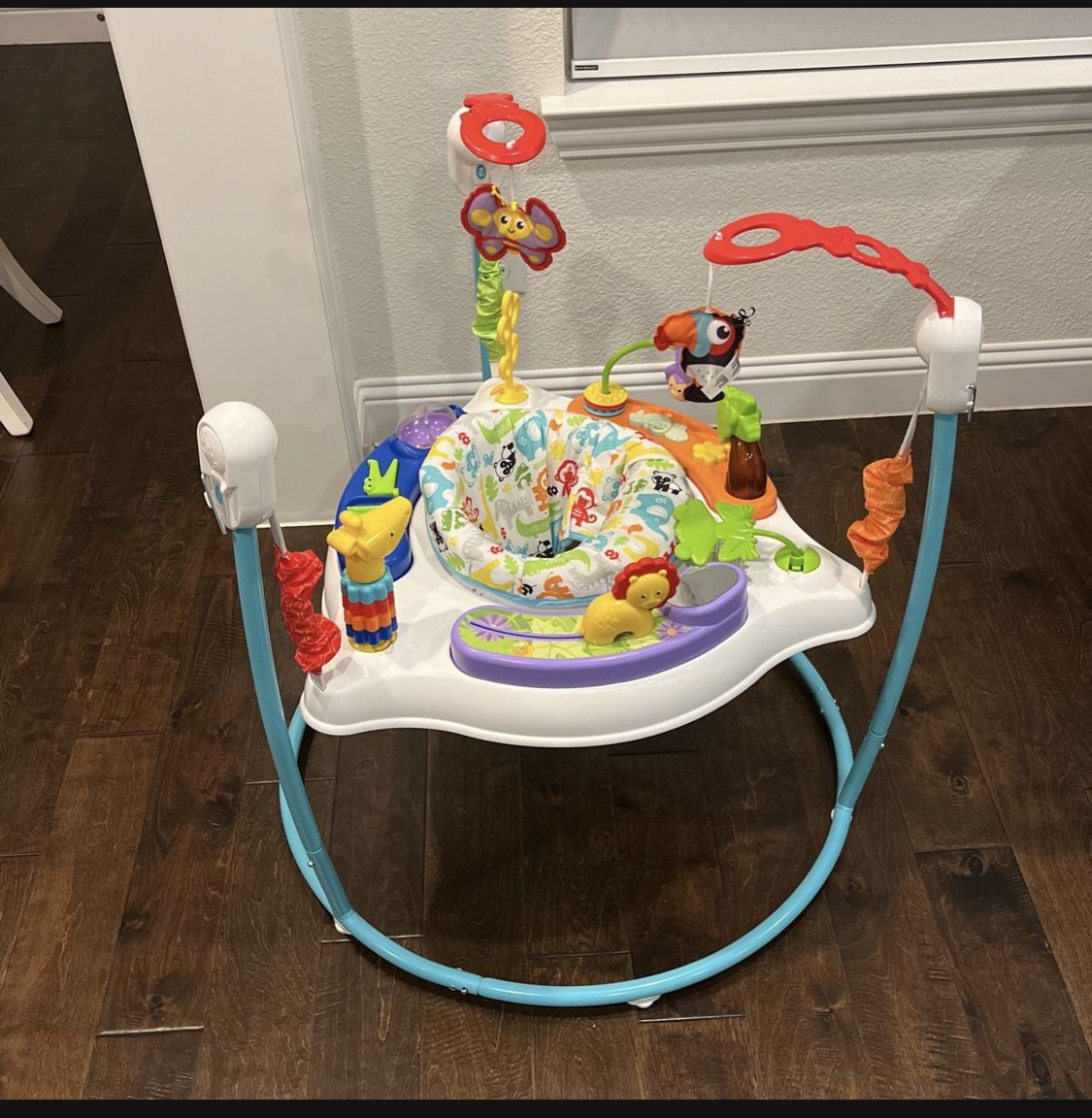 Baby Jumper - Fisher-Price Animal Activity Jumperoo