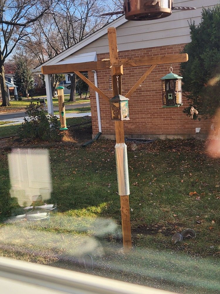 Bird Feeder Posts