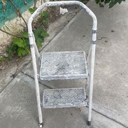2 Step Small Ladder