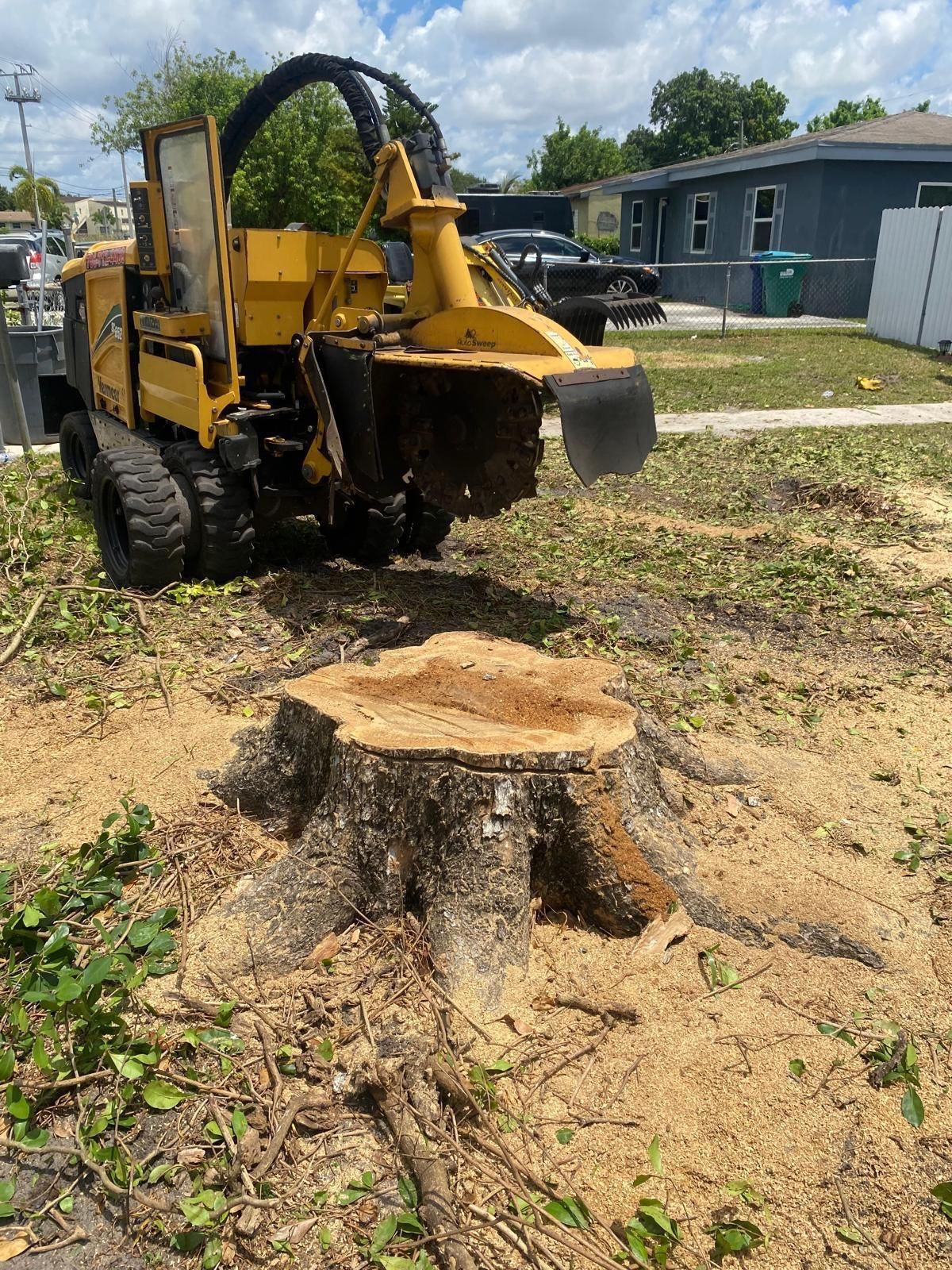 Stumps Grinding Molemos Troncos Y Raises