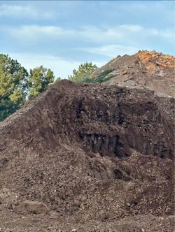 🚨🚨FREE DIRT FREE DELIVERY🚨🚨