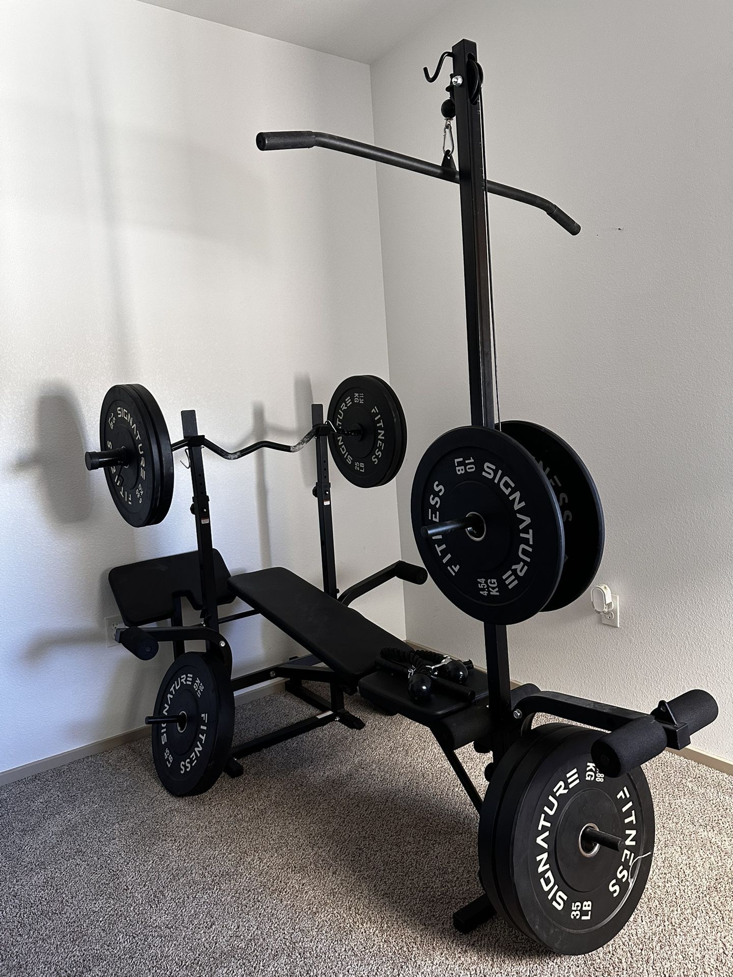 WEIGHT BENCH SET AND DUMBBELLS