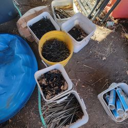 Flat Roofing Screws And Plates