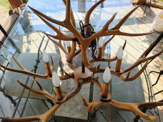 Faux Deer Antler Chandelier - Resin