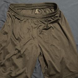 Champro Shorts 