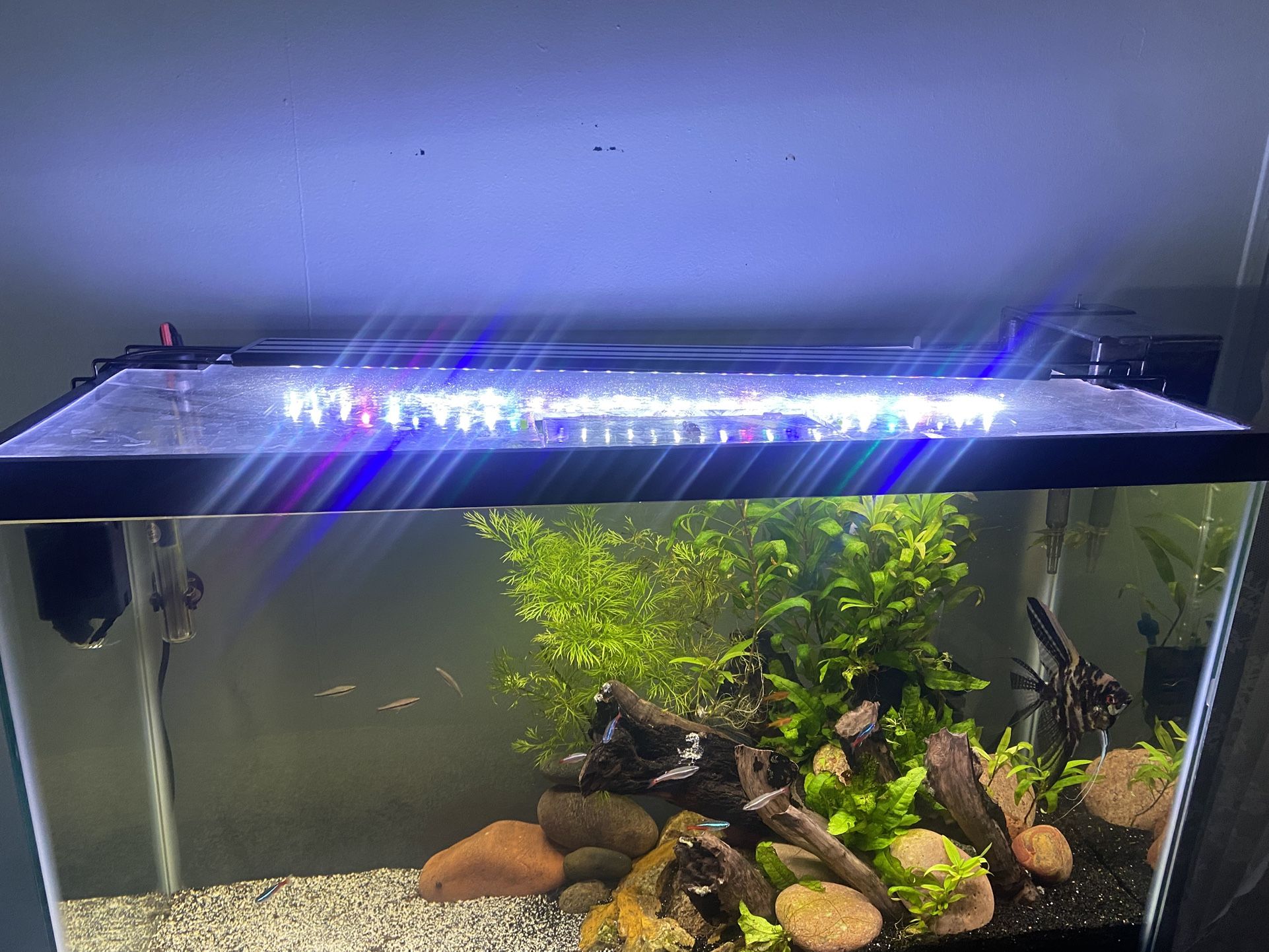 Fish Tank Light
