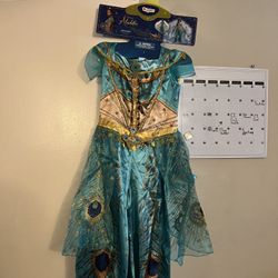 Disney Jasmine Costume Size S & M