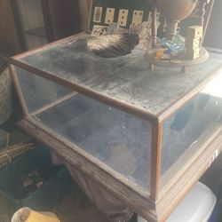 Antique Glass Cabinet 