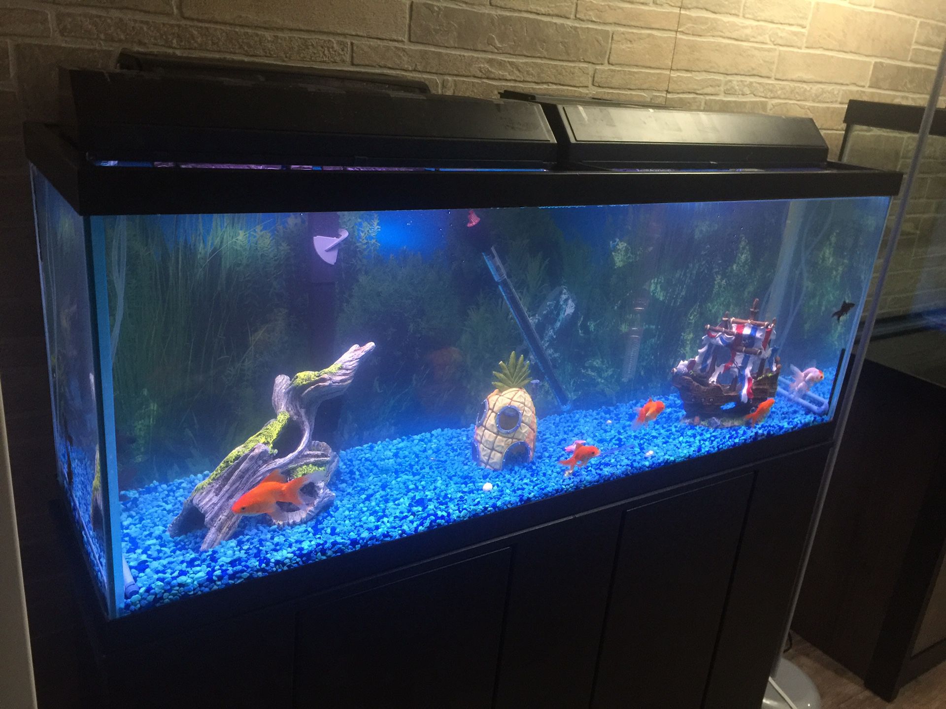 Fish tank 2"x4" with all color stones and cable