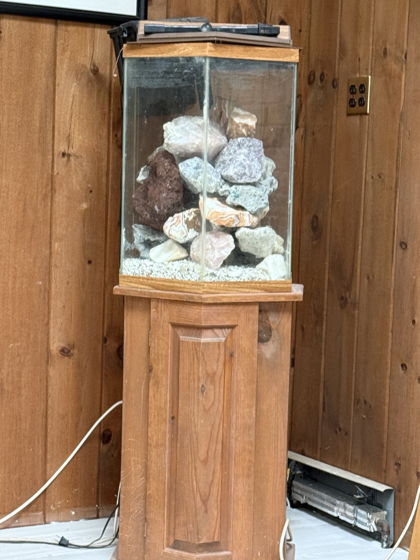 Cichlid Tank