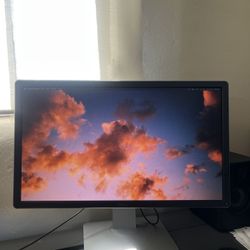 Dell Computer Monitor 24” (P2415GB)