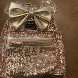 Disneyland Back Pack 