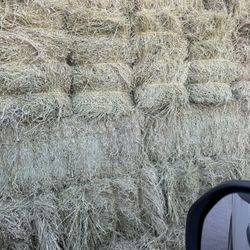 Hay
