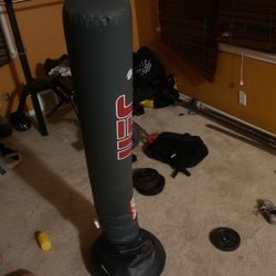 UFC Backlash 