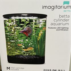 Betta Cylinder Aquarium 