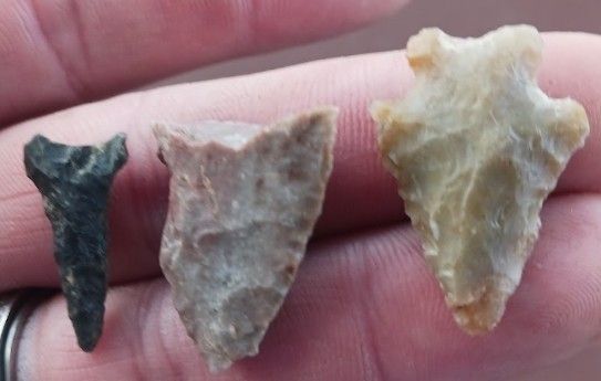 Indian Arrowhead/Artifacts/Tools