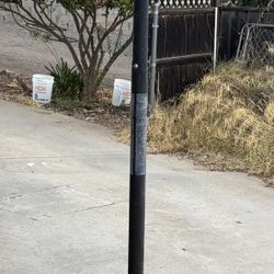 Lifetime Freestanding Basketball Hoop