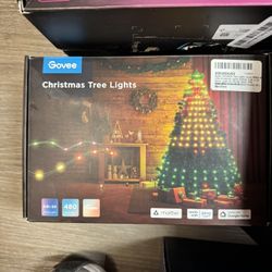 Govee Christmas Lights