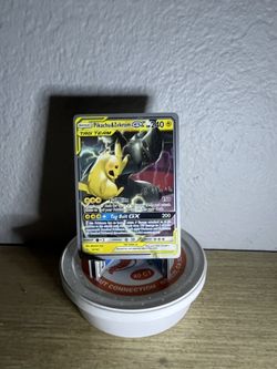 Pikachu & Zekrom Tag Team