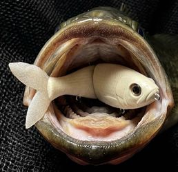 Bull Shad Swimbaits | Trick Herring 7”